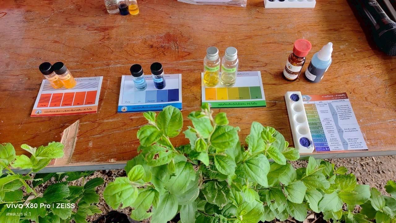 ภาพประกอบที่ 0