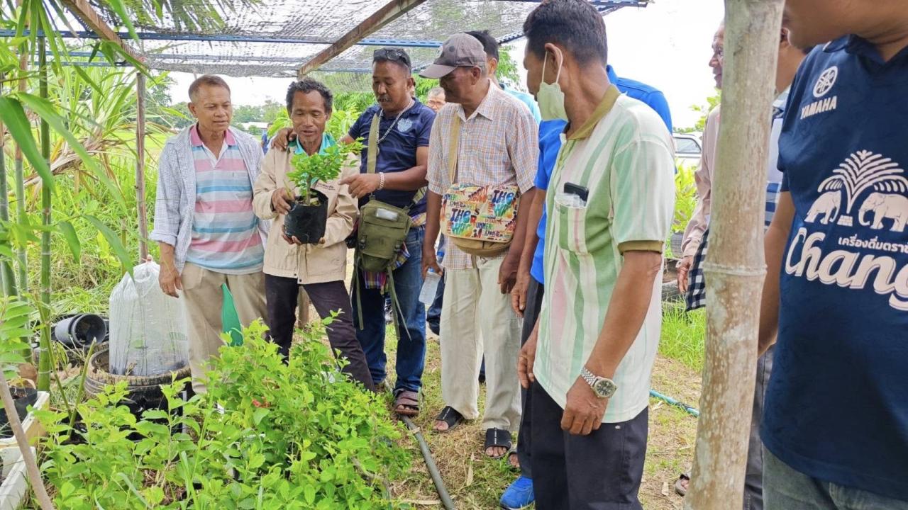ภาพประกอบที่ 1