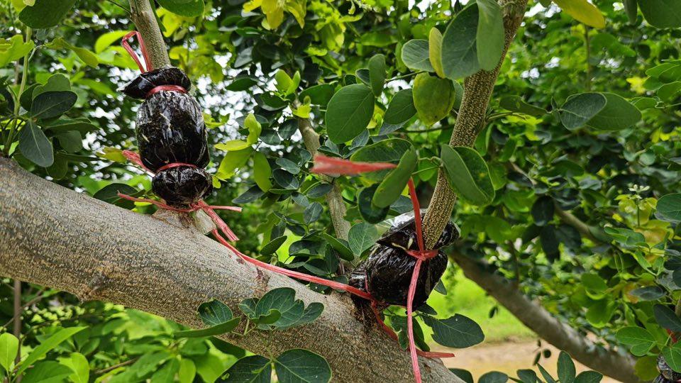 ภาพประกอบที่ 3