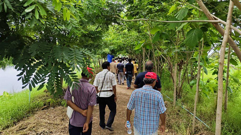 ภาพประกอบที่ 4