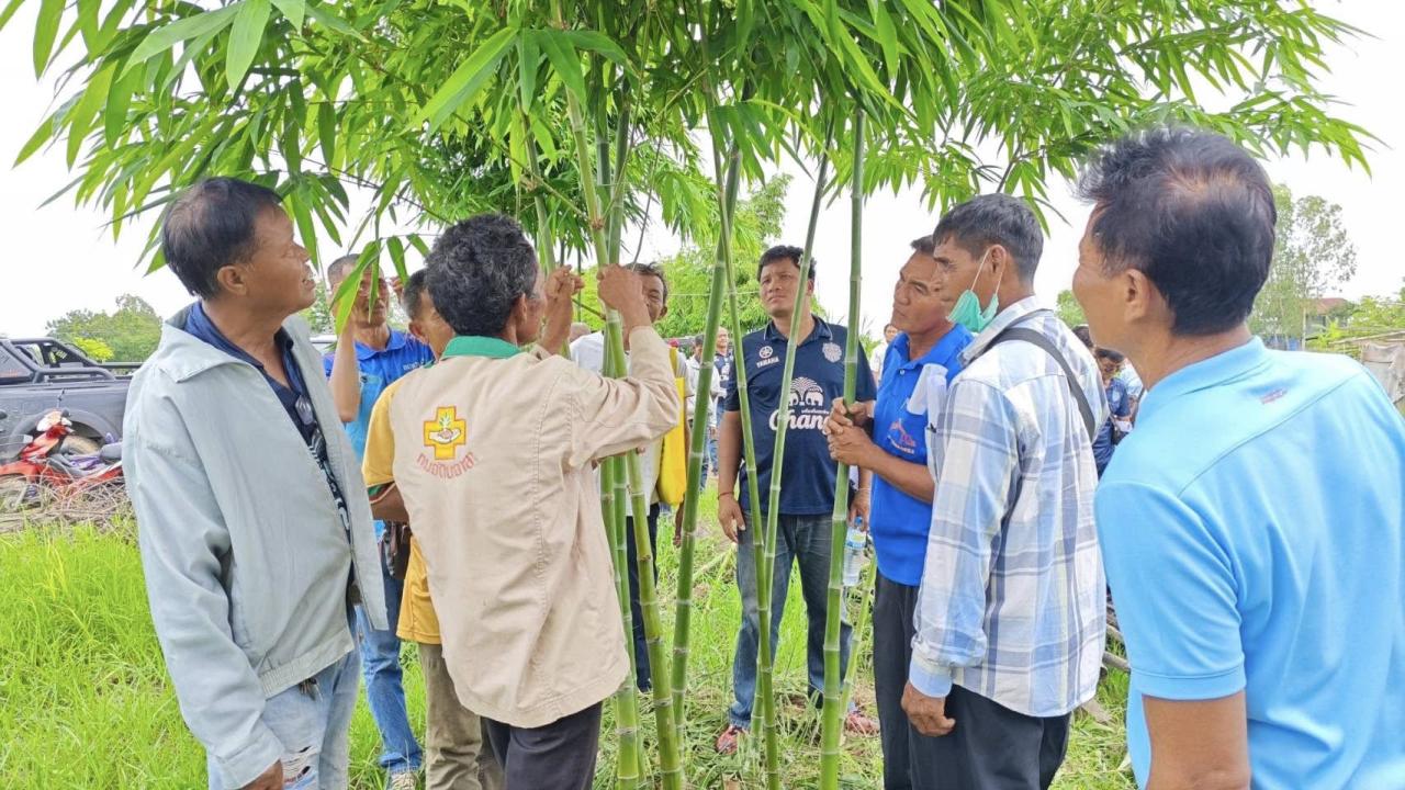 ภาพประกอบที่ 13