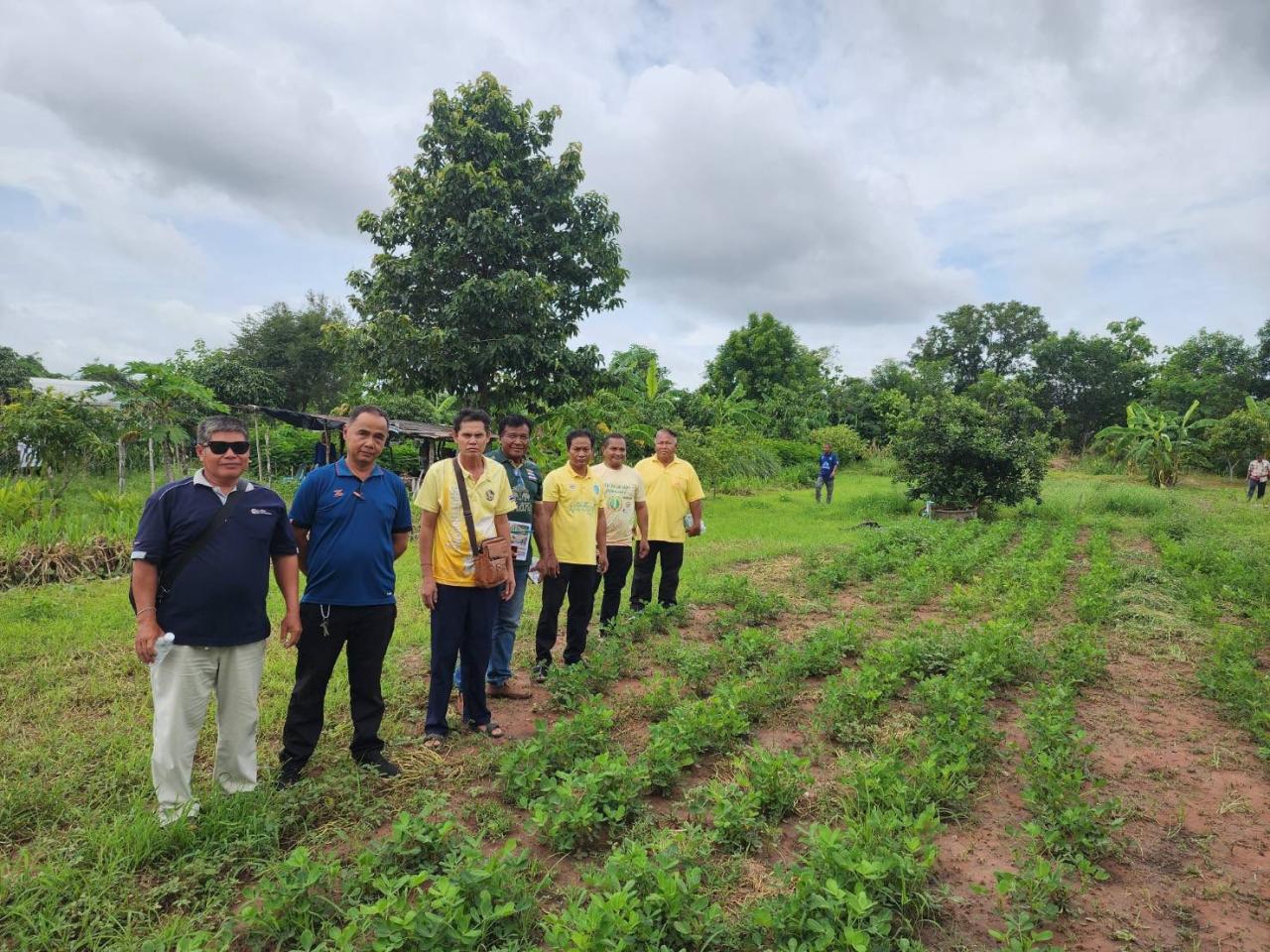 ภาพประกอบที่ 1