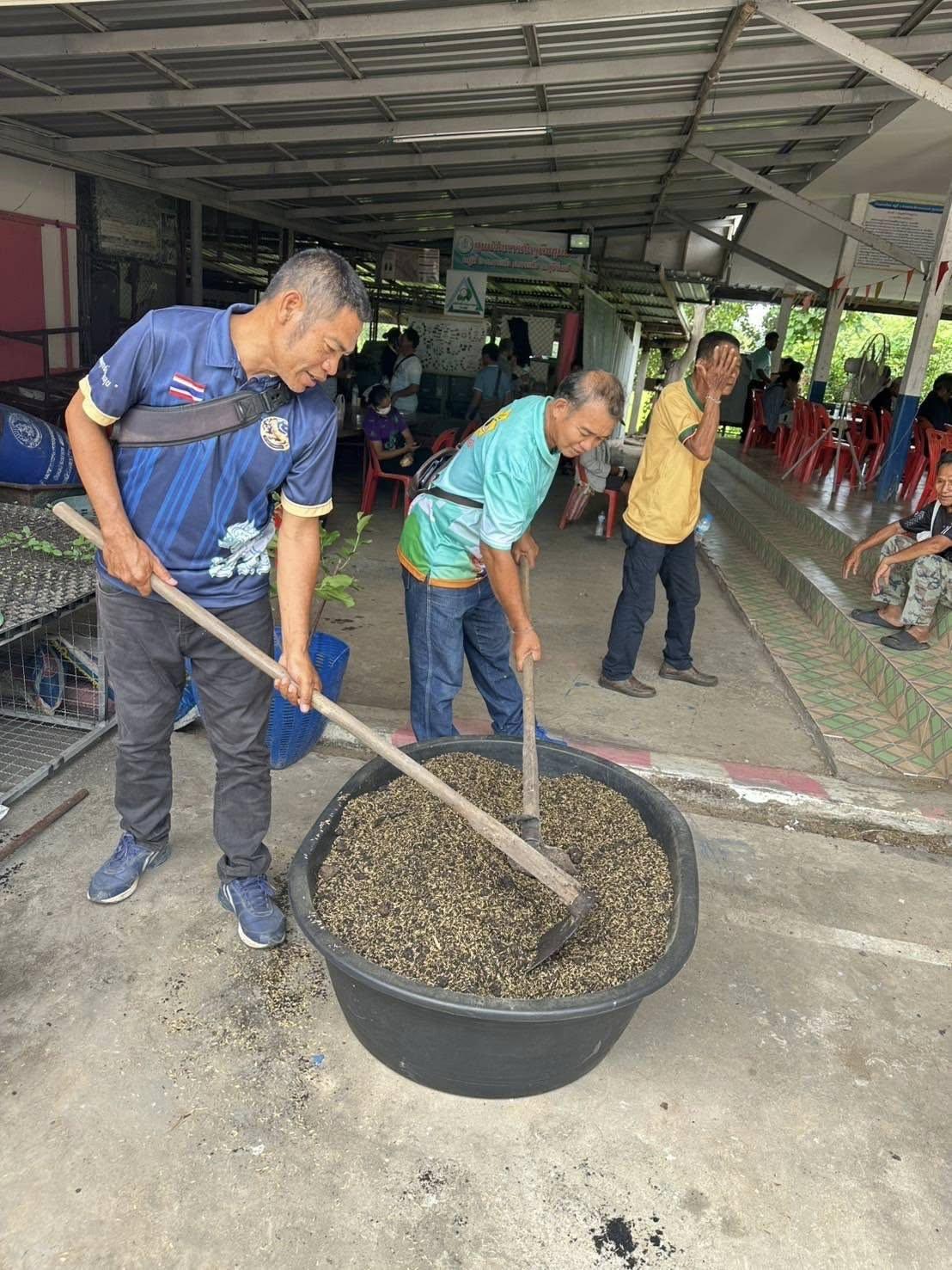 ภาพประกอบที่ 12