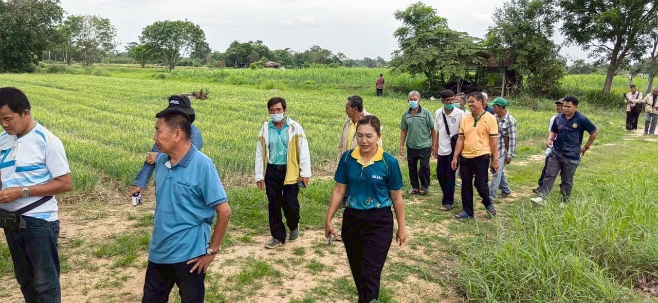 ภาพประกอบที่ 1