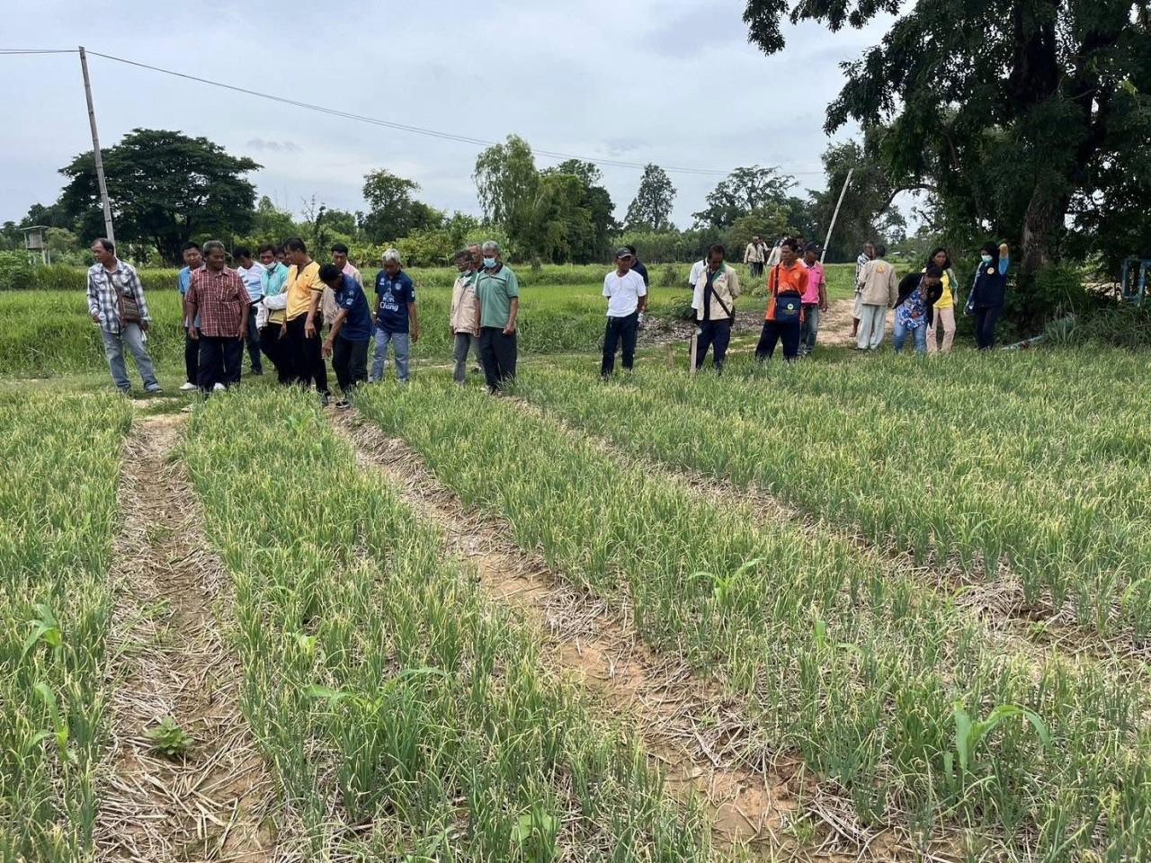 ภาพประกอบที่ 2