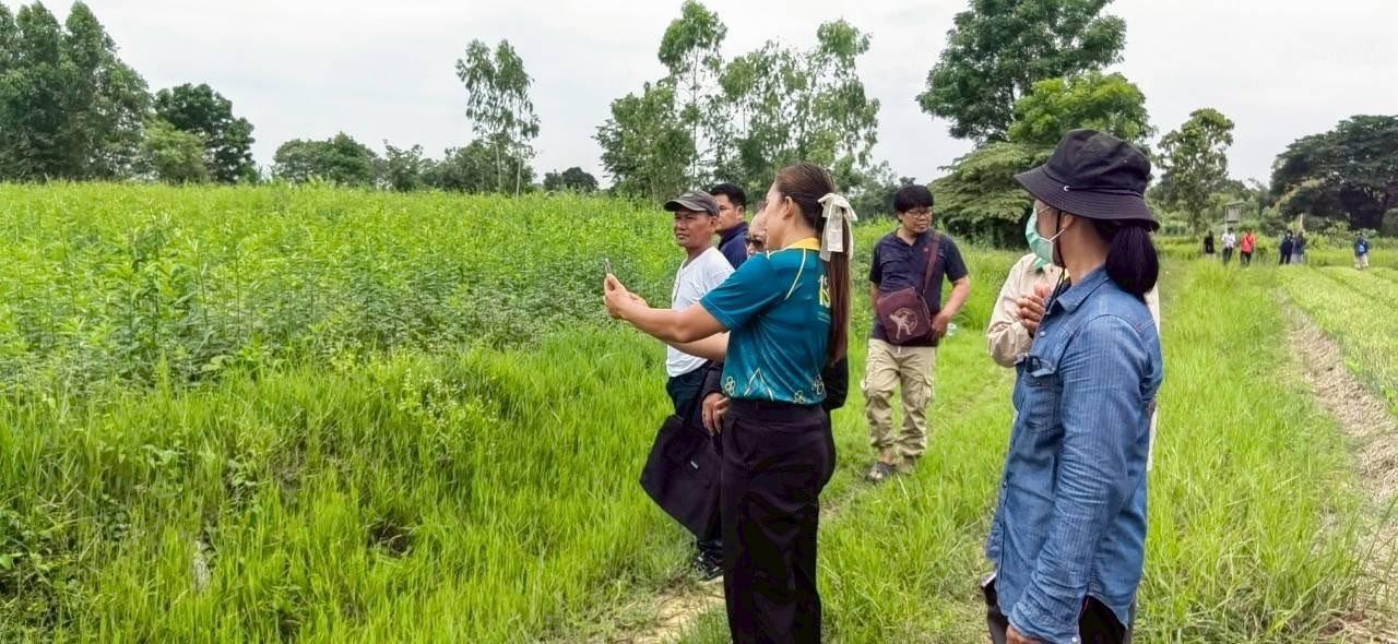 ภาพประกอบที่ 6