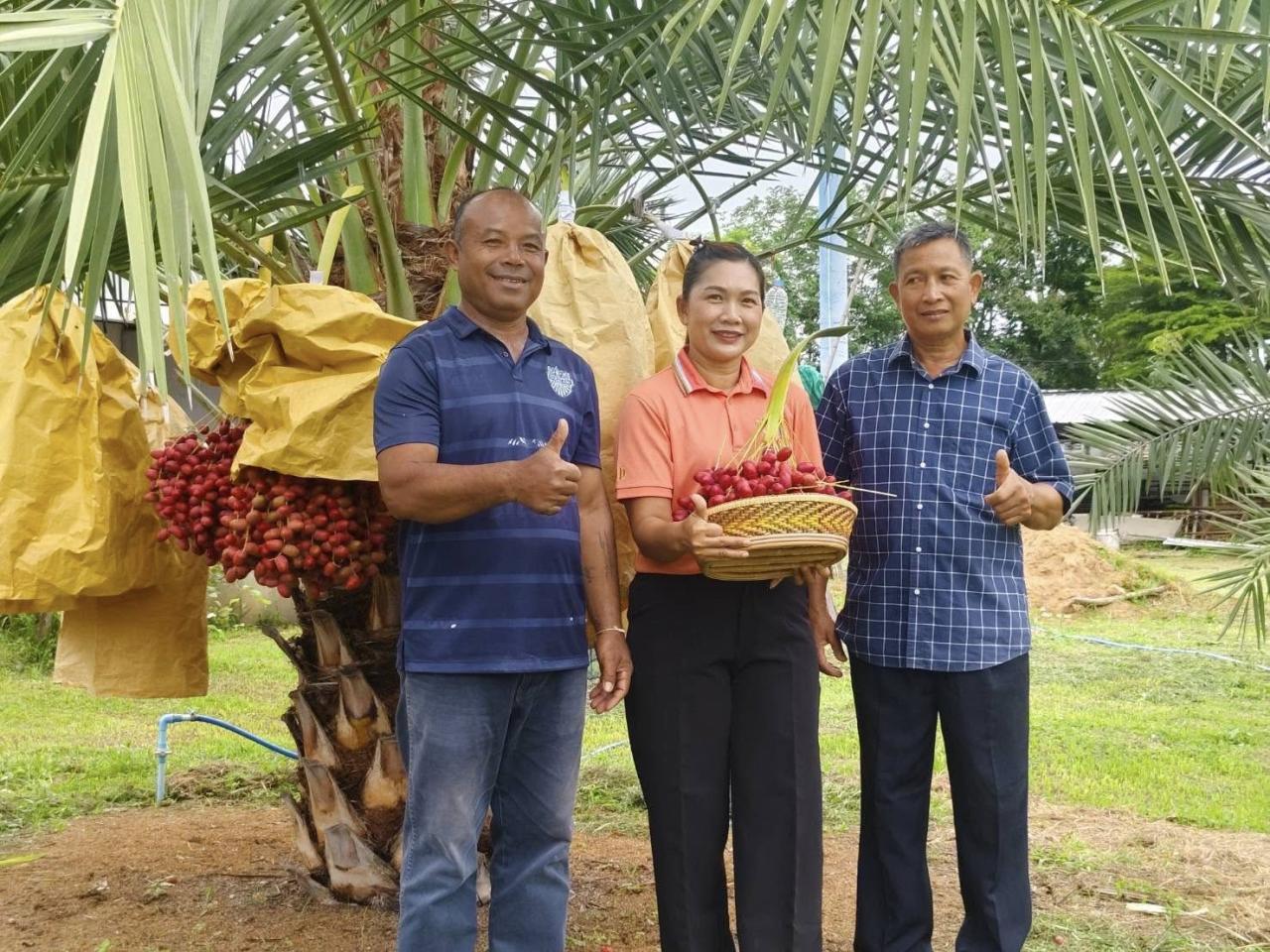 ภาพประกอบที่ 4