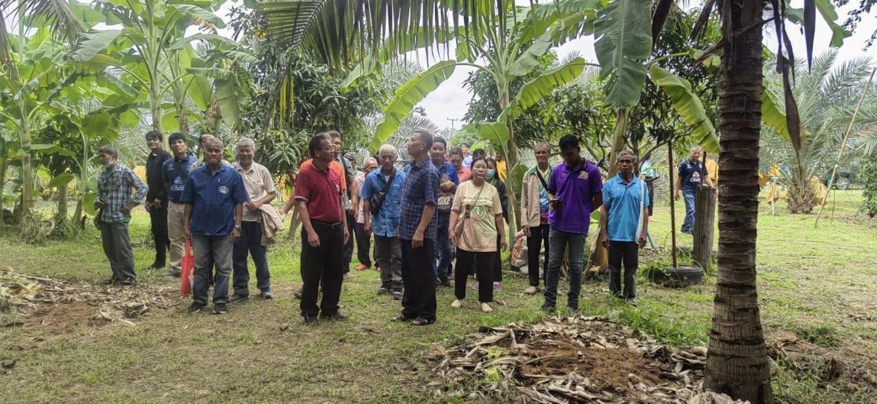 ภาพประกอบที่ 7