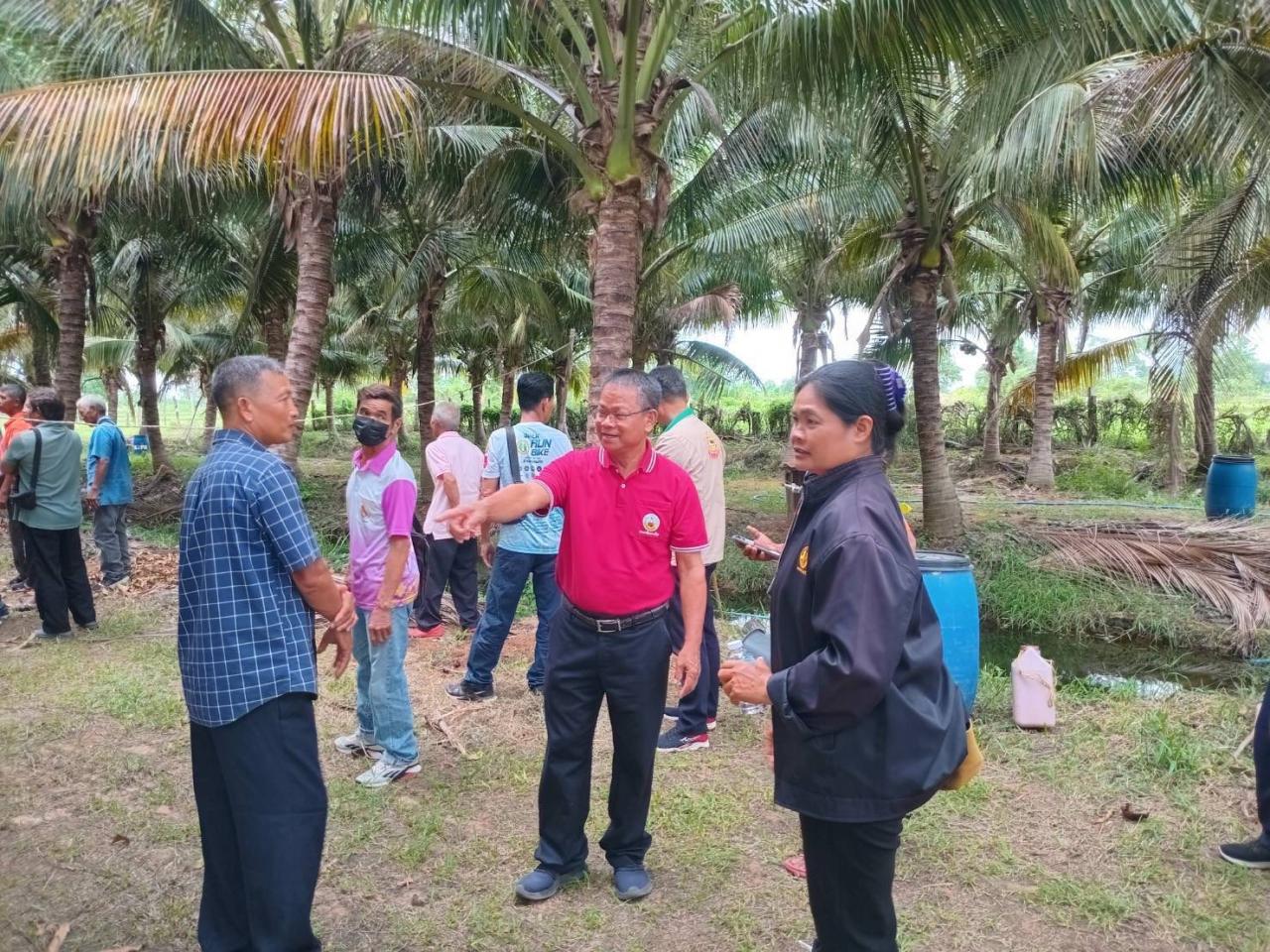 ภาพประกอบที่ 10