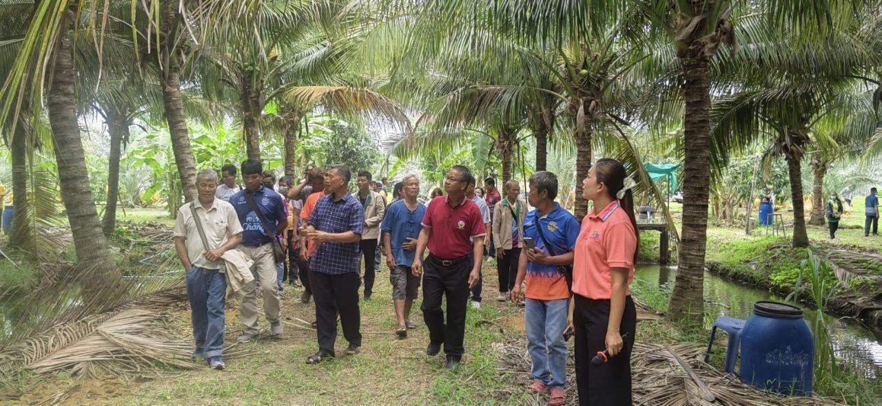 ภาพประกอบที่ 11