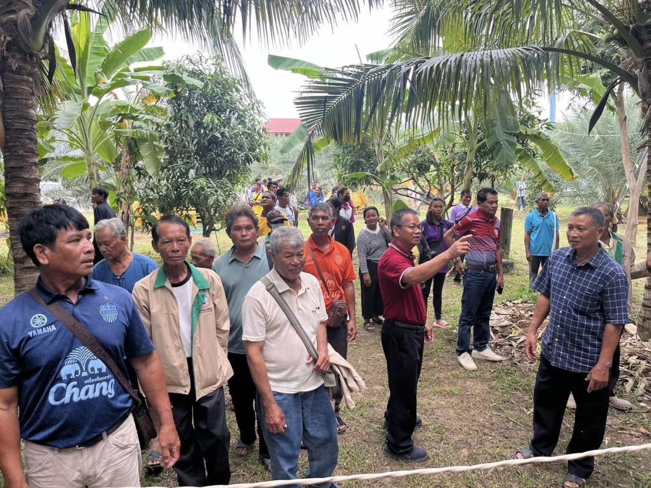 ภาพประกอบที่ 12