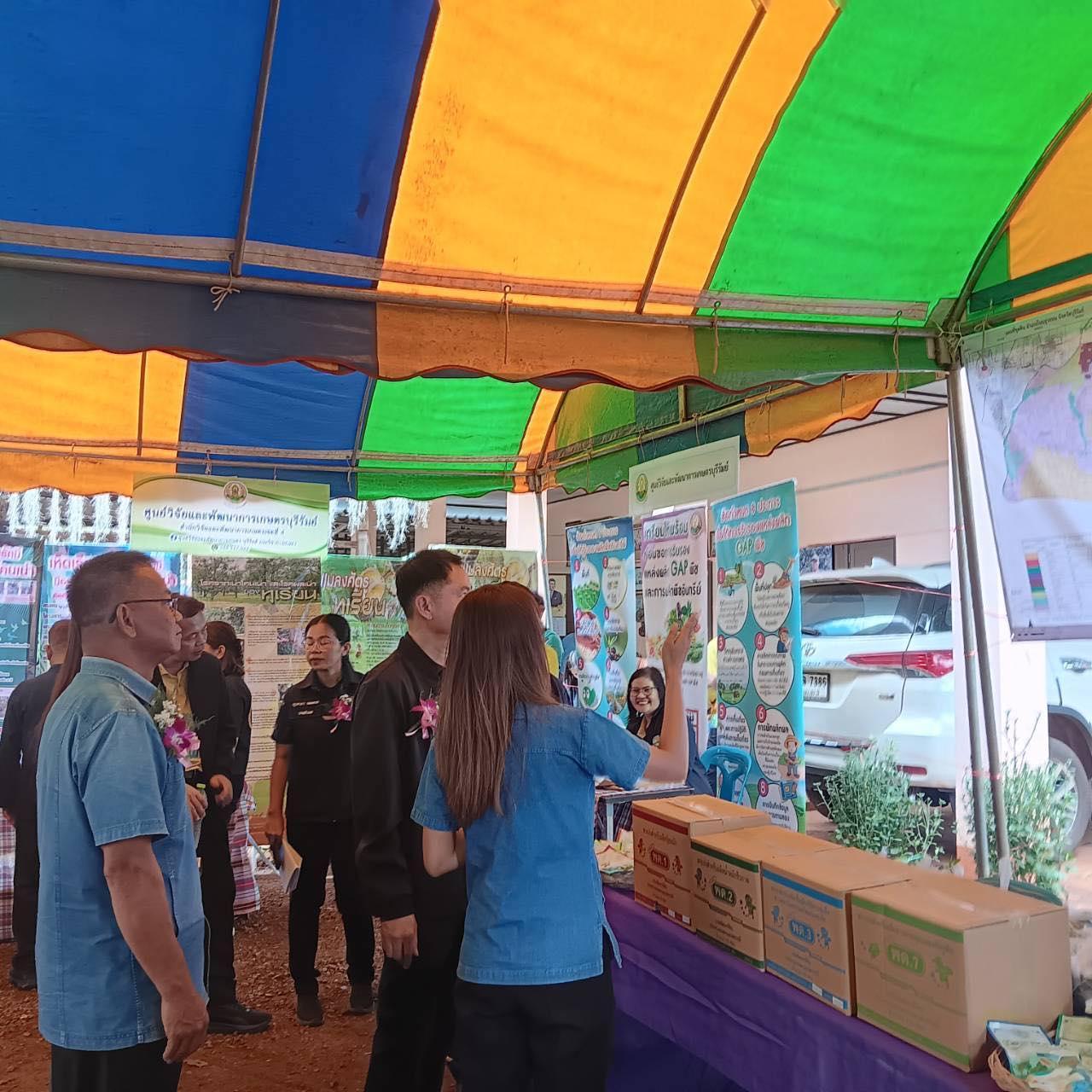 ภาพประกอบที่ 0