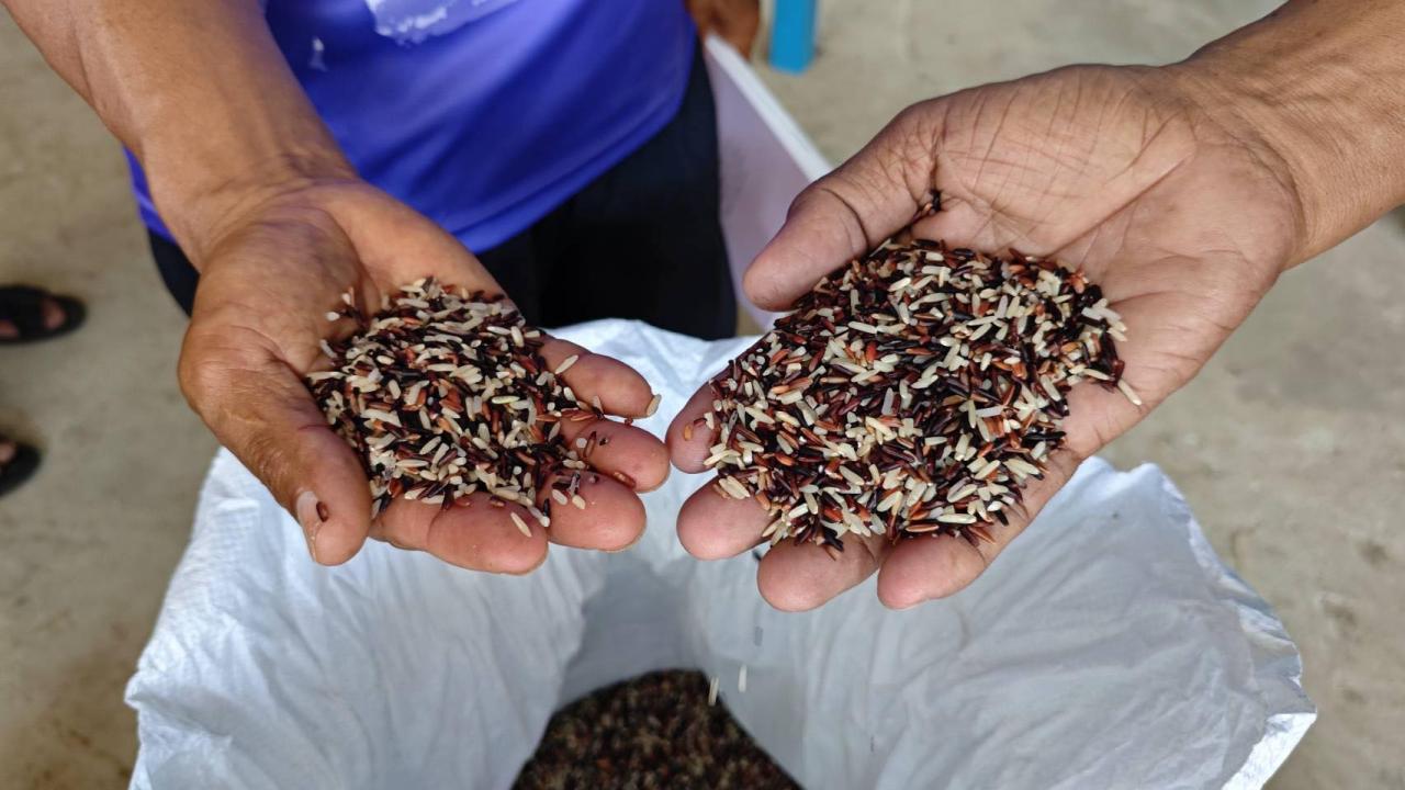 ภาพประกอบที่ 2