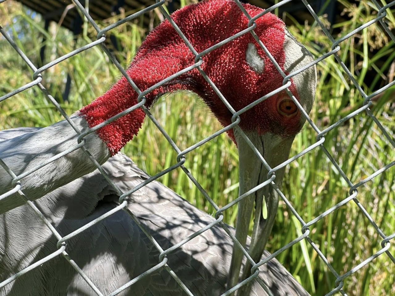 ภาพประกอบที่ 6