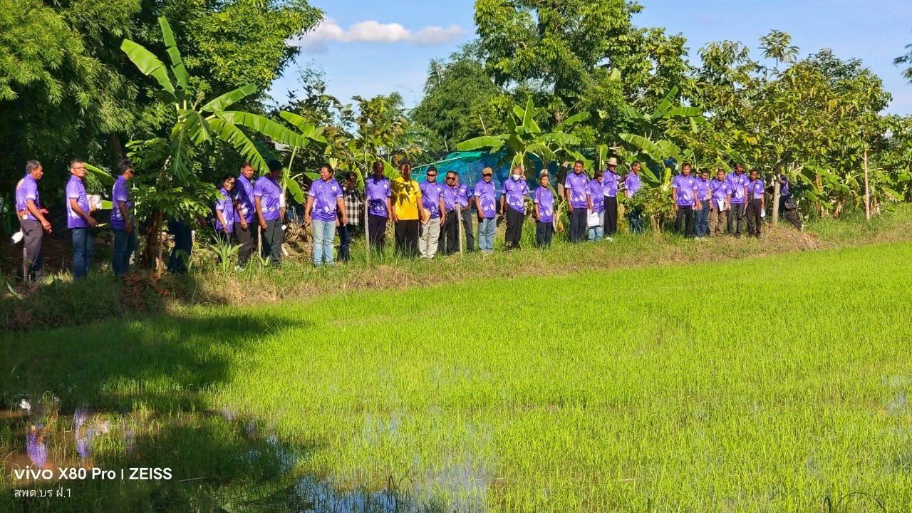 ภาพประกอบที่ 20