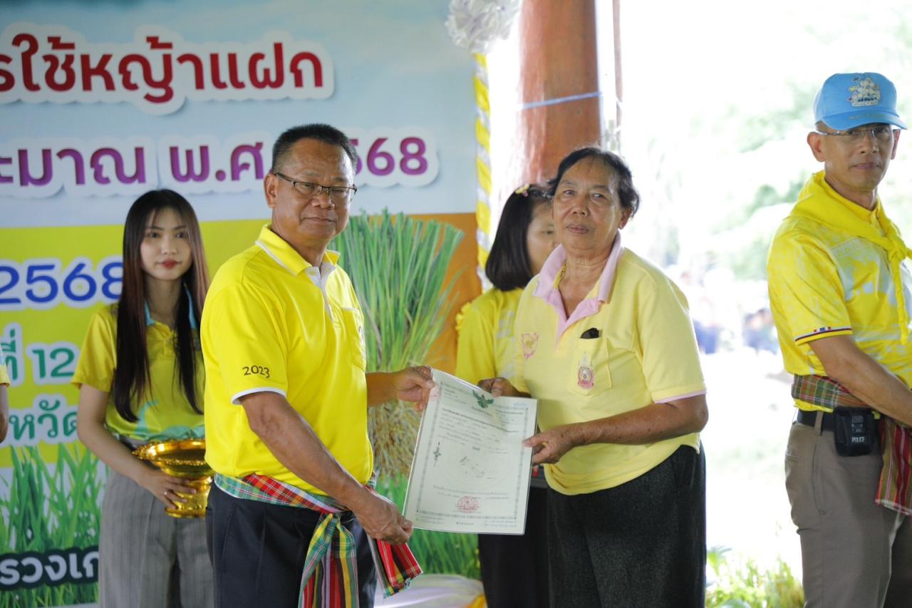 ภาพประกอบที่ 5