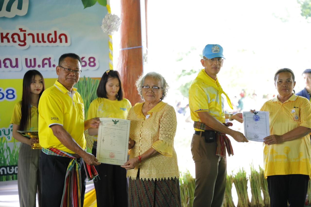 ภาพประกอบที่ 7