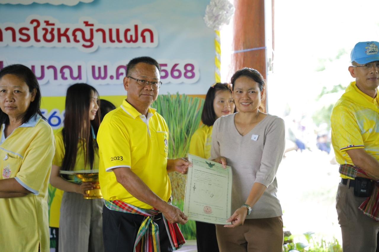 ภาพประกอบที่ 8