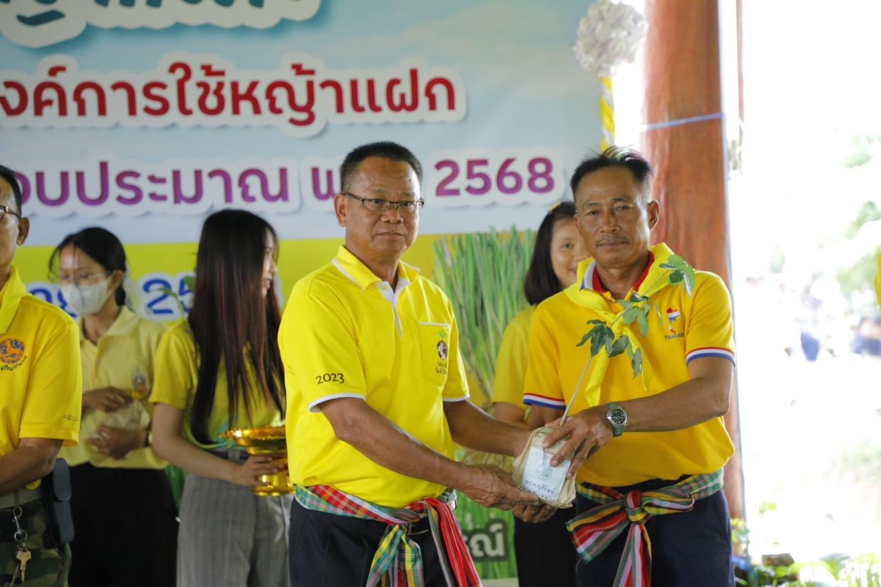 ภาพประกอบที่ 11