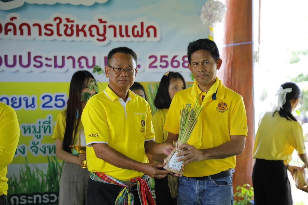 ภาพประกอบที่ 13