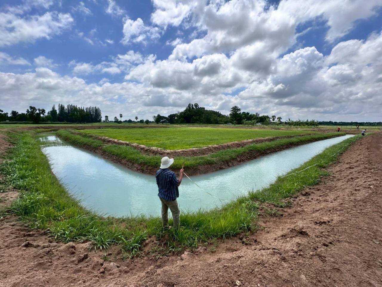 ภาพประกอบที่ 12