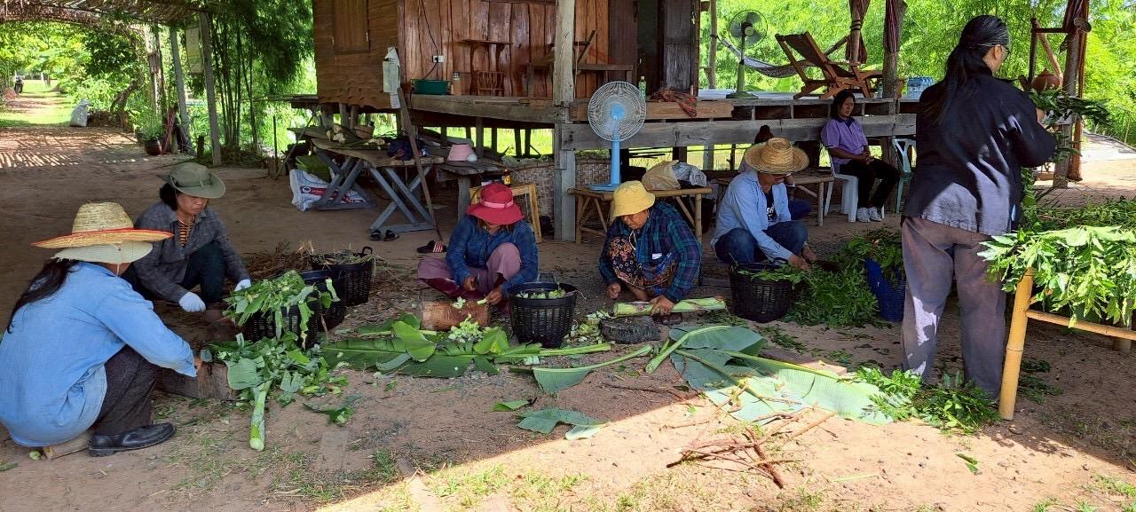 ภาพประกอบที่ 7