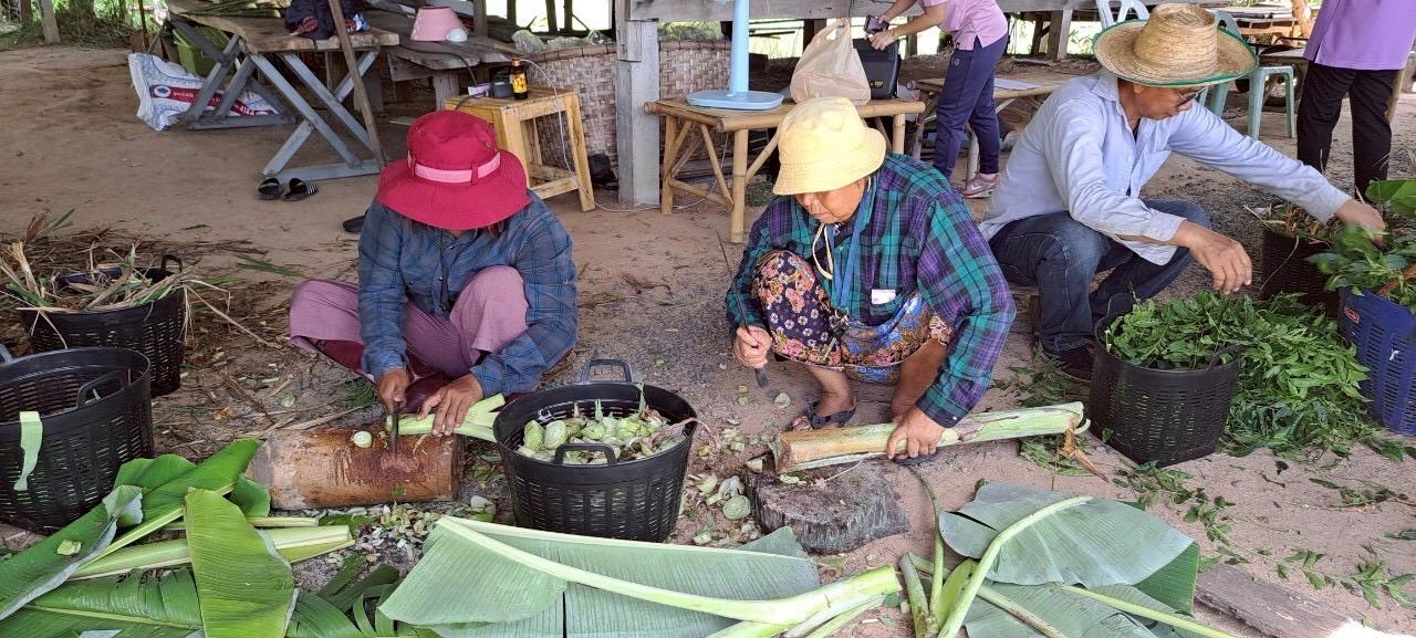 ภาพประกอบที่ 8