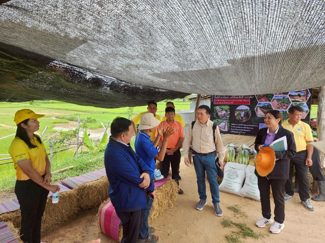 ภาพประกอบที่ 11