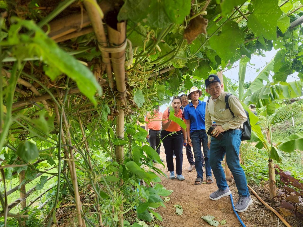 ภาพประกอบที่ 14