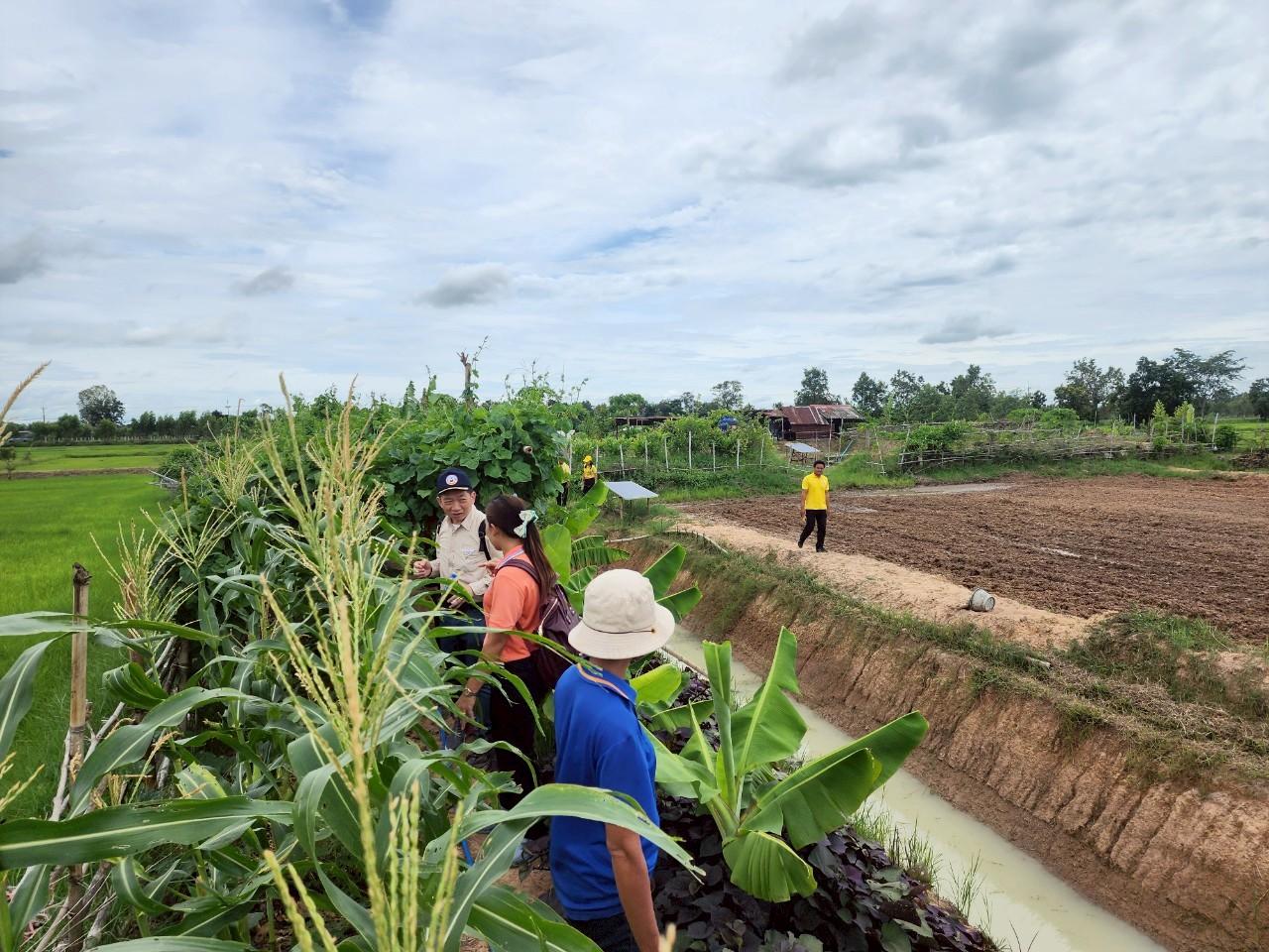 ภาพประกอบที่ 15