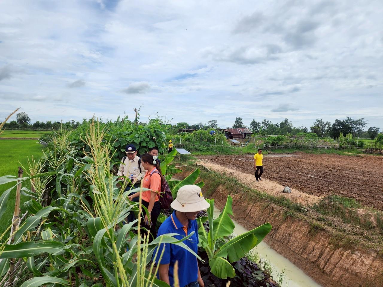 ภาพประกอบที่ 16