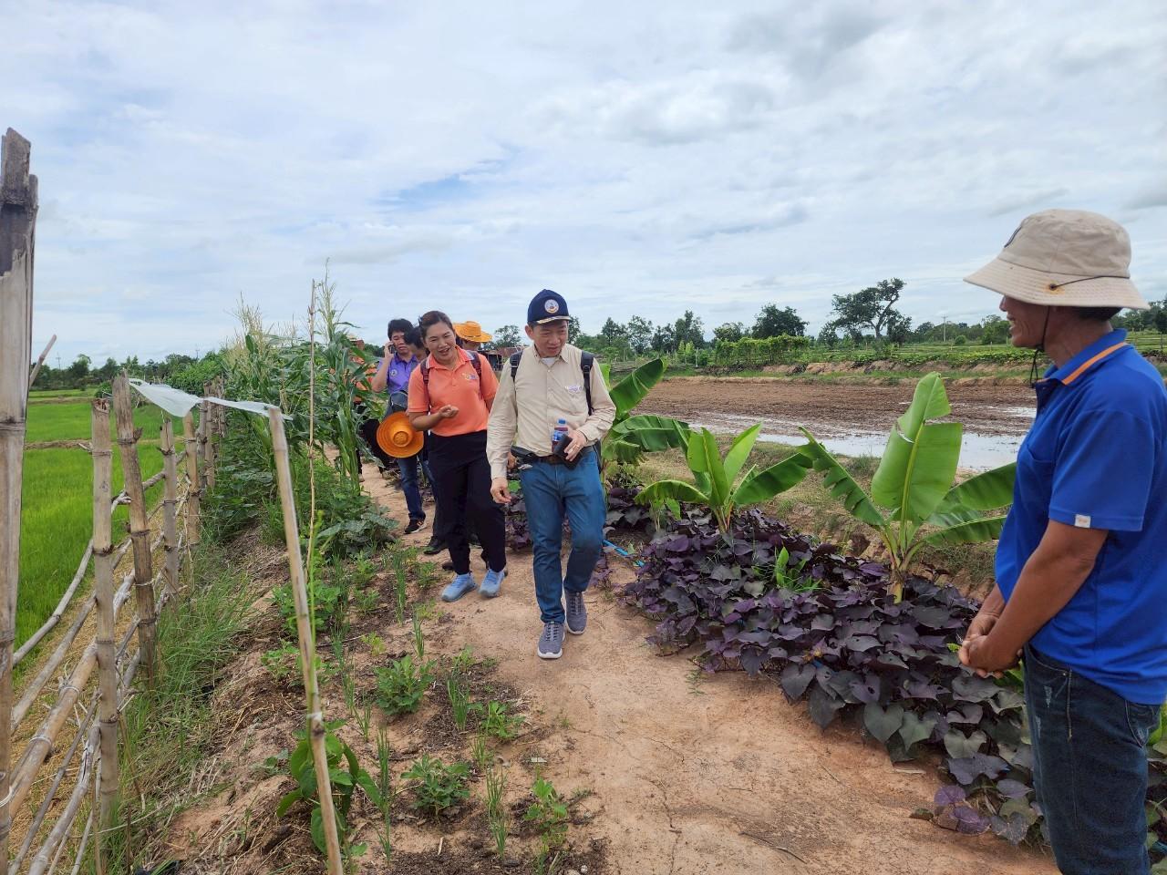 ภาพประกอบที่ 17