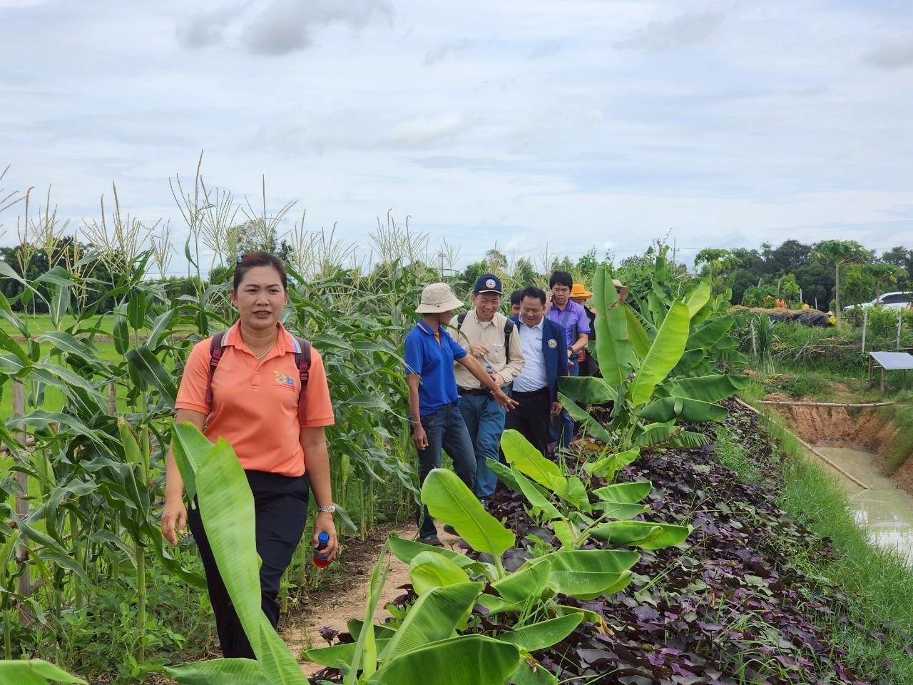 ภาพประกอบที่ 18