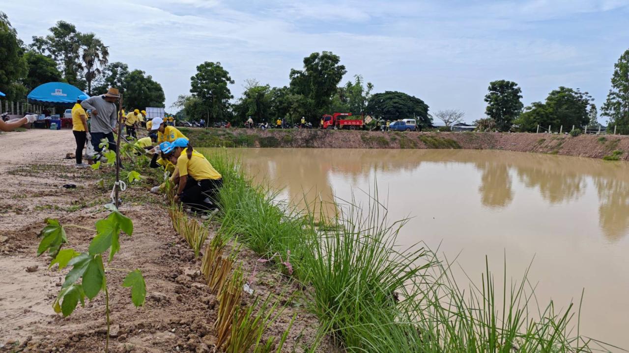 ภาพประกอบที่ 0
