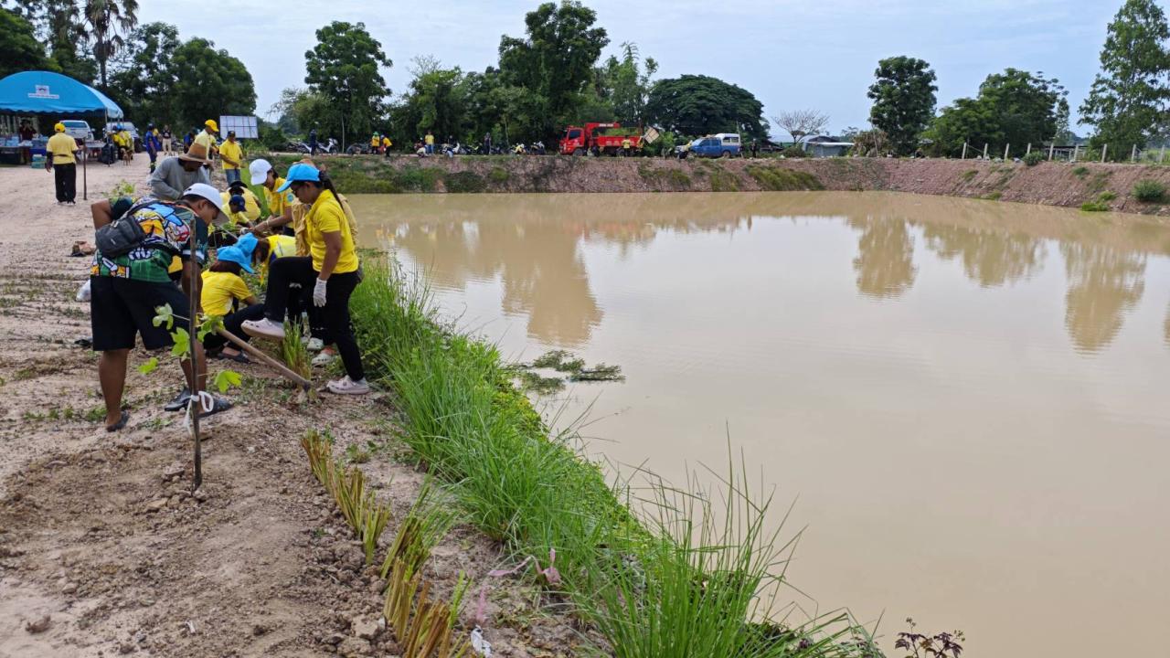 ภาพประกอบที่ 3