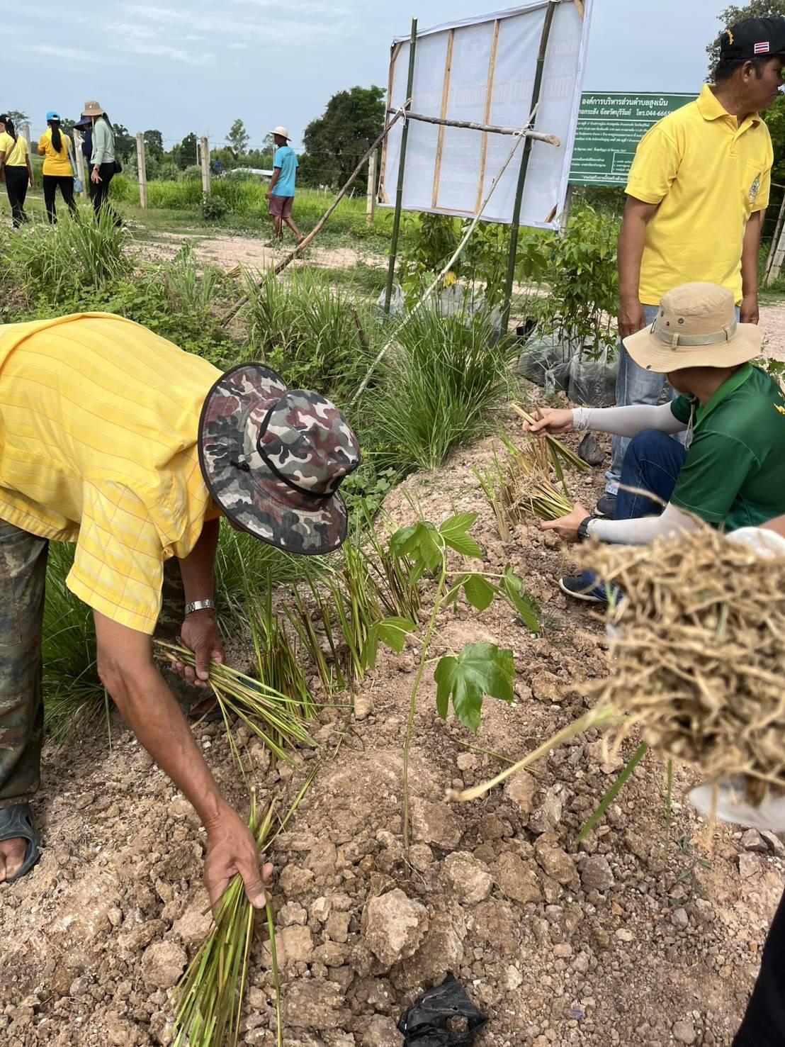 ภาพประกอบที่ 12