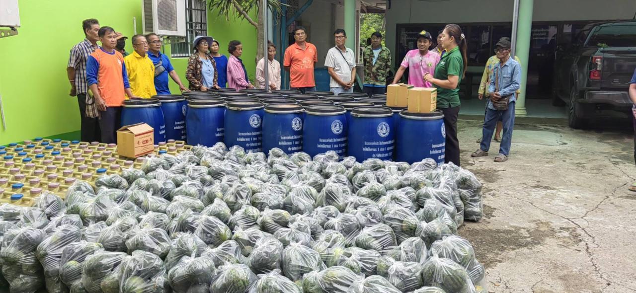 ภาพประกอบที่ 5