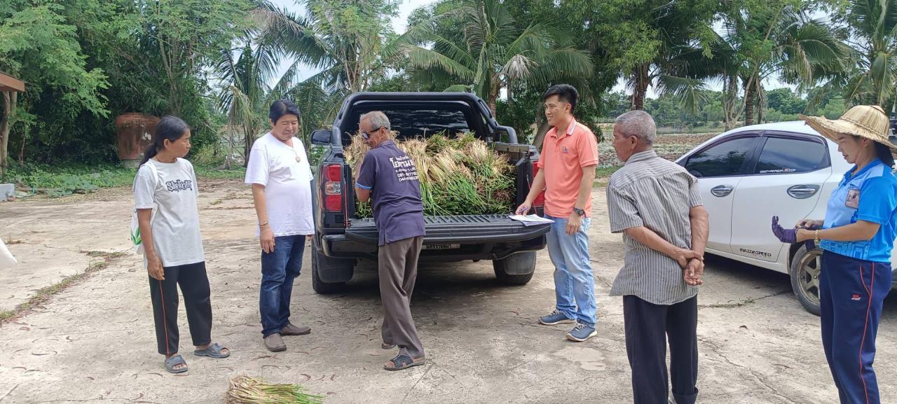 ภาพประกอบที่ 5