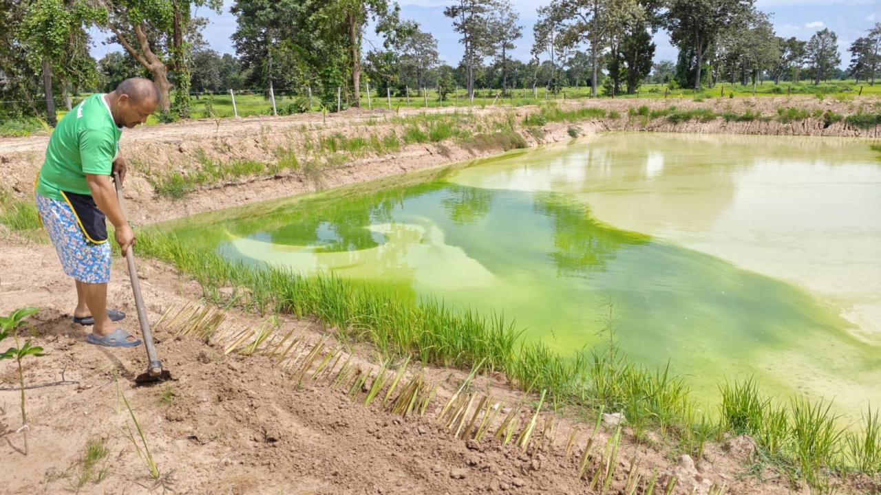 ภาพประกอบที่ 8