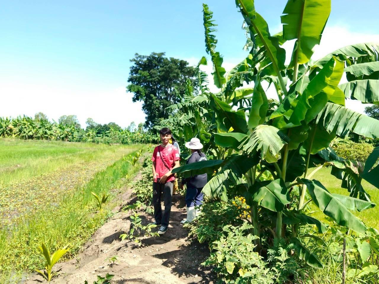 ภาพประกอบที่ 0
