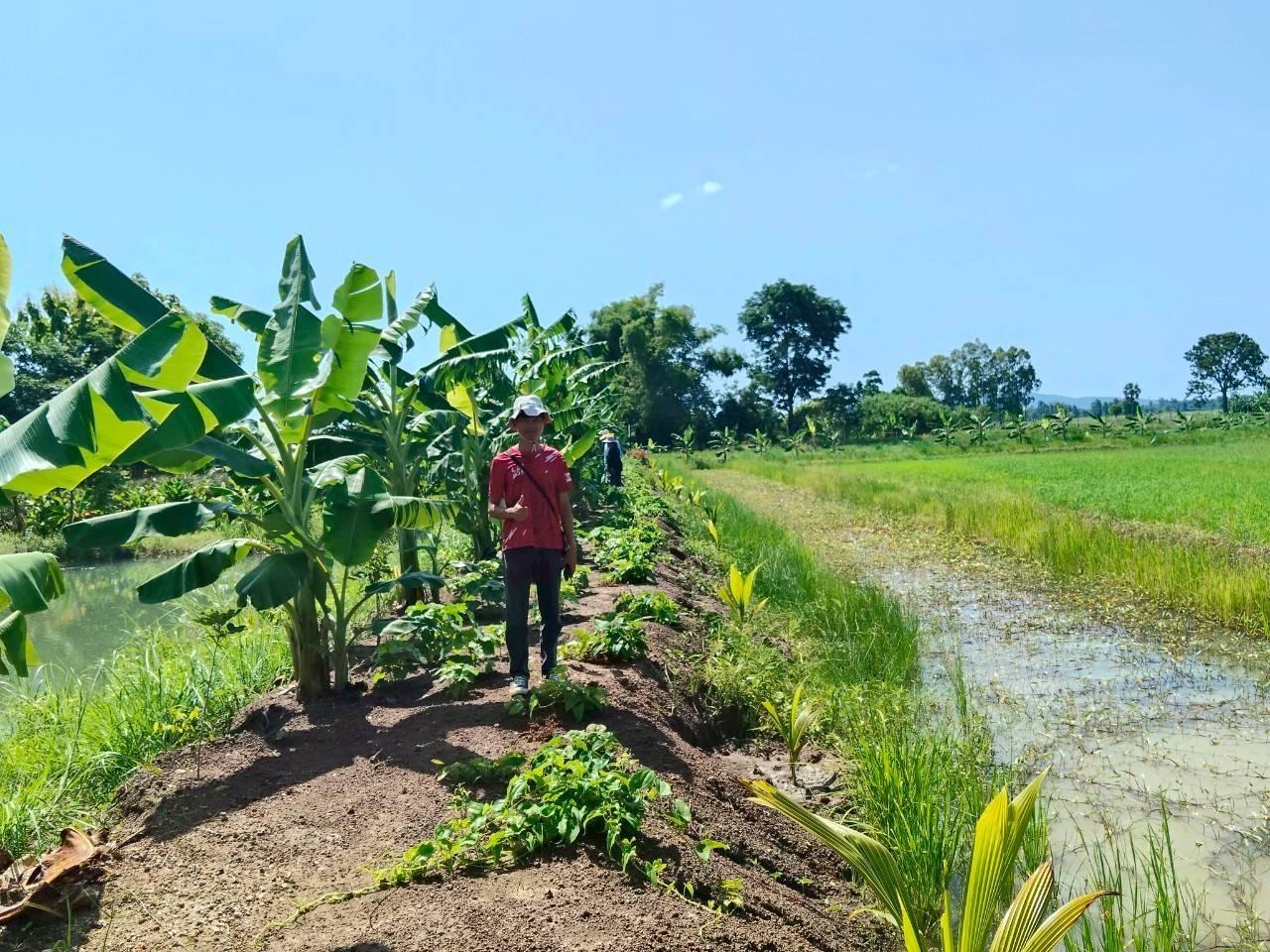 ภาพประกอบที่ 1