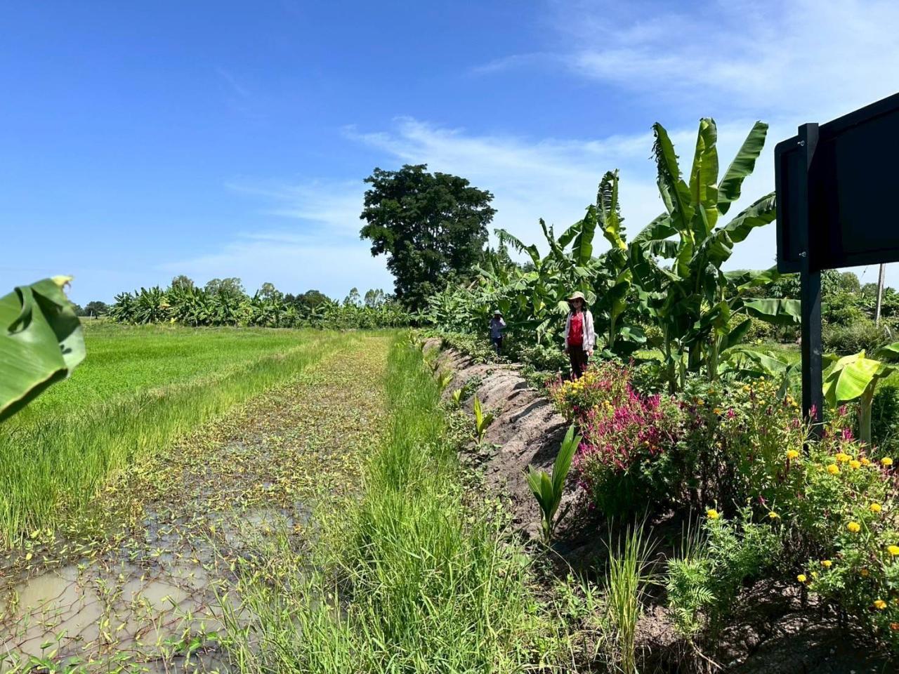 ภาพประกอบที่ 4