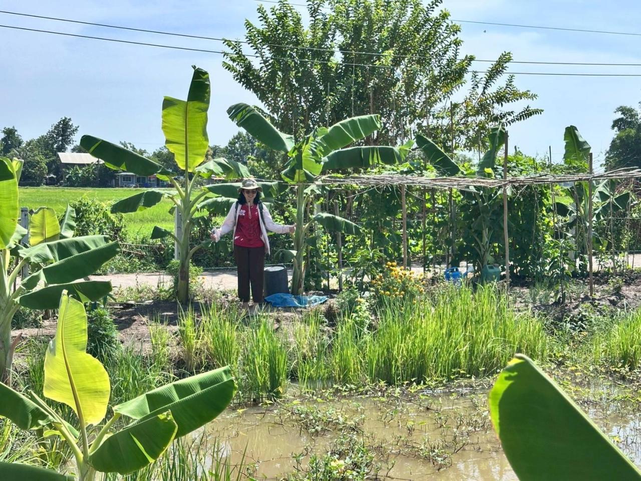 ภาพประกอบที่ 5
