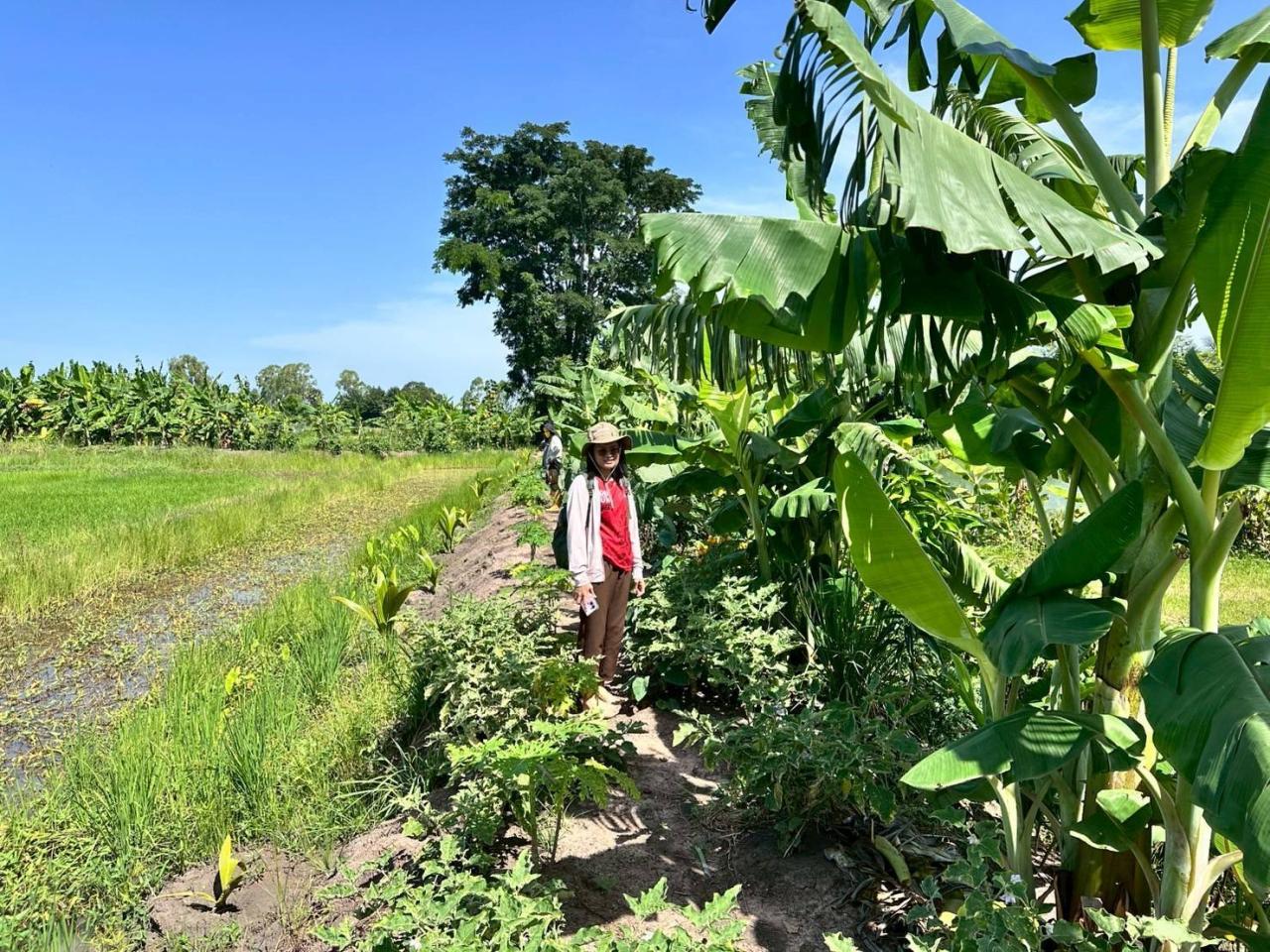 ภาพประกอบที่ 7