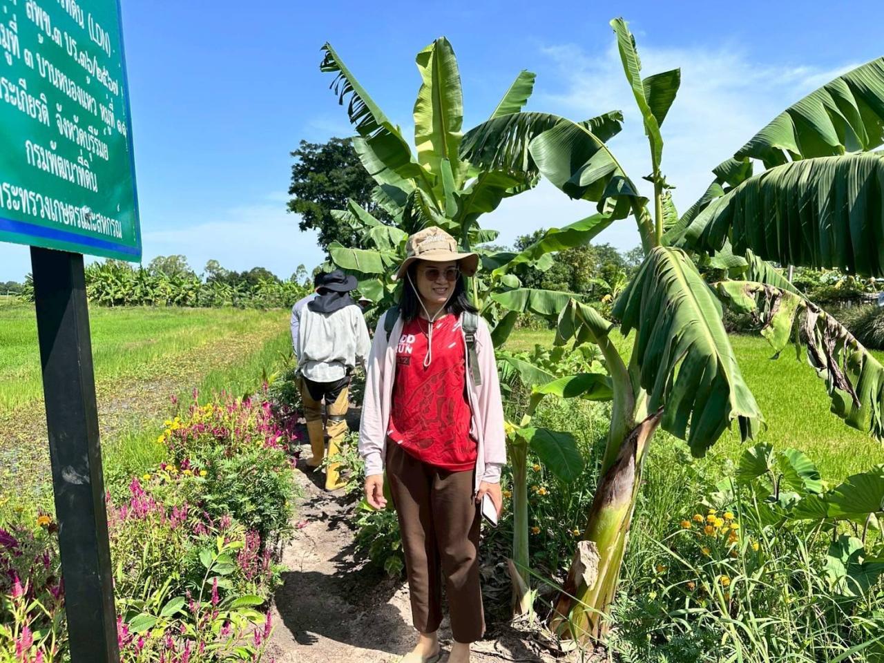 ภาพประกอบที่ 8