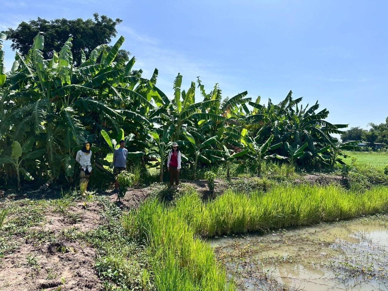 ภาพประกอบที่ 9