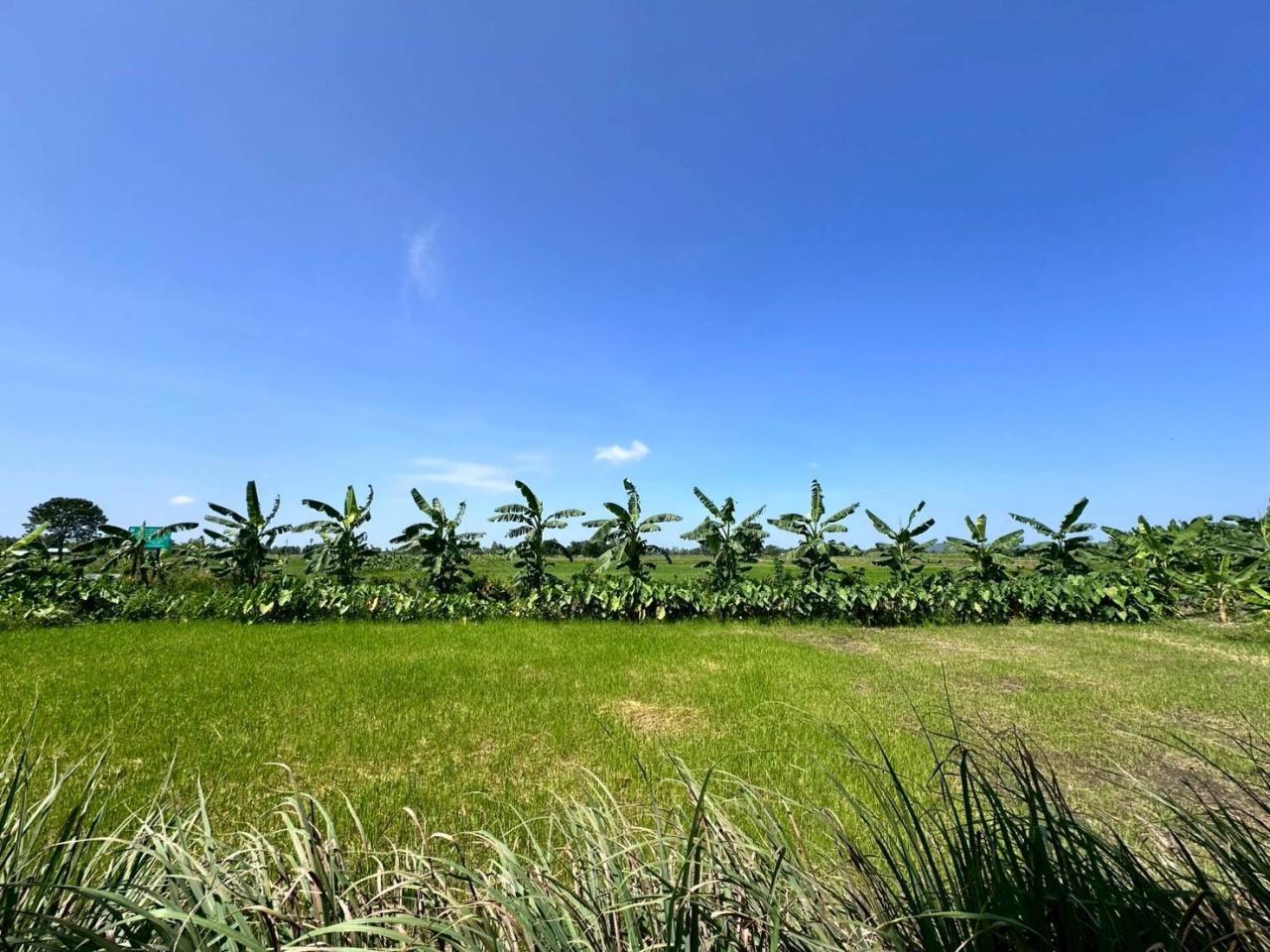 ภาพประกอบที่ 11