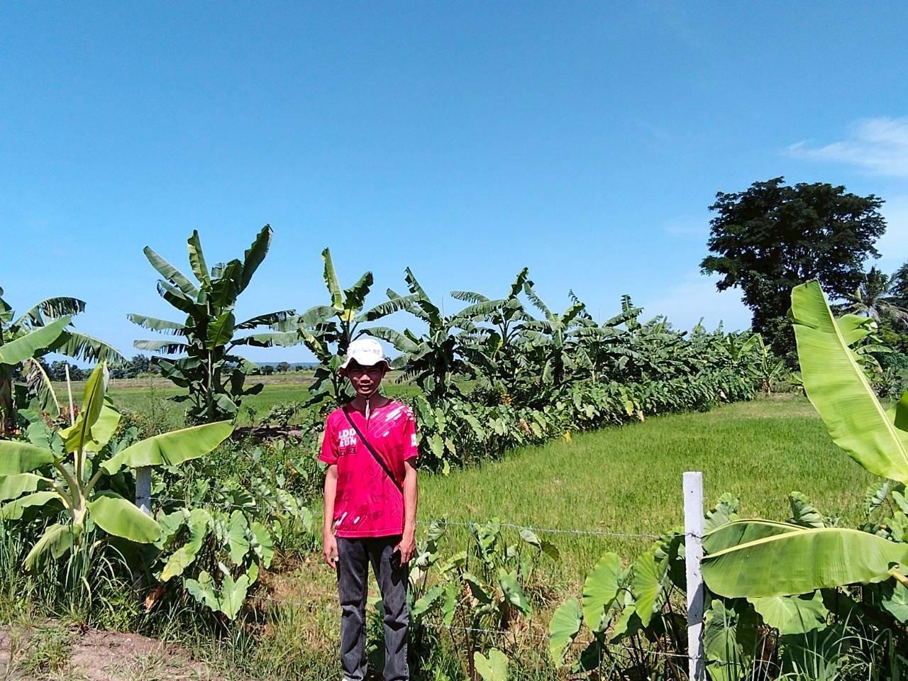 ภาพประกอบที่ 13