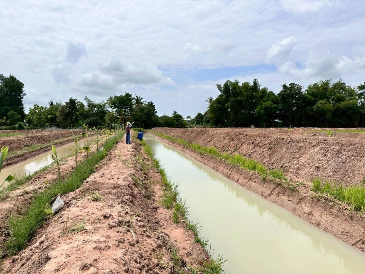 ภาพประกอบที่ 11