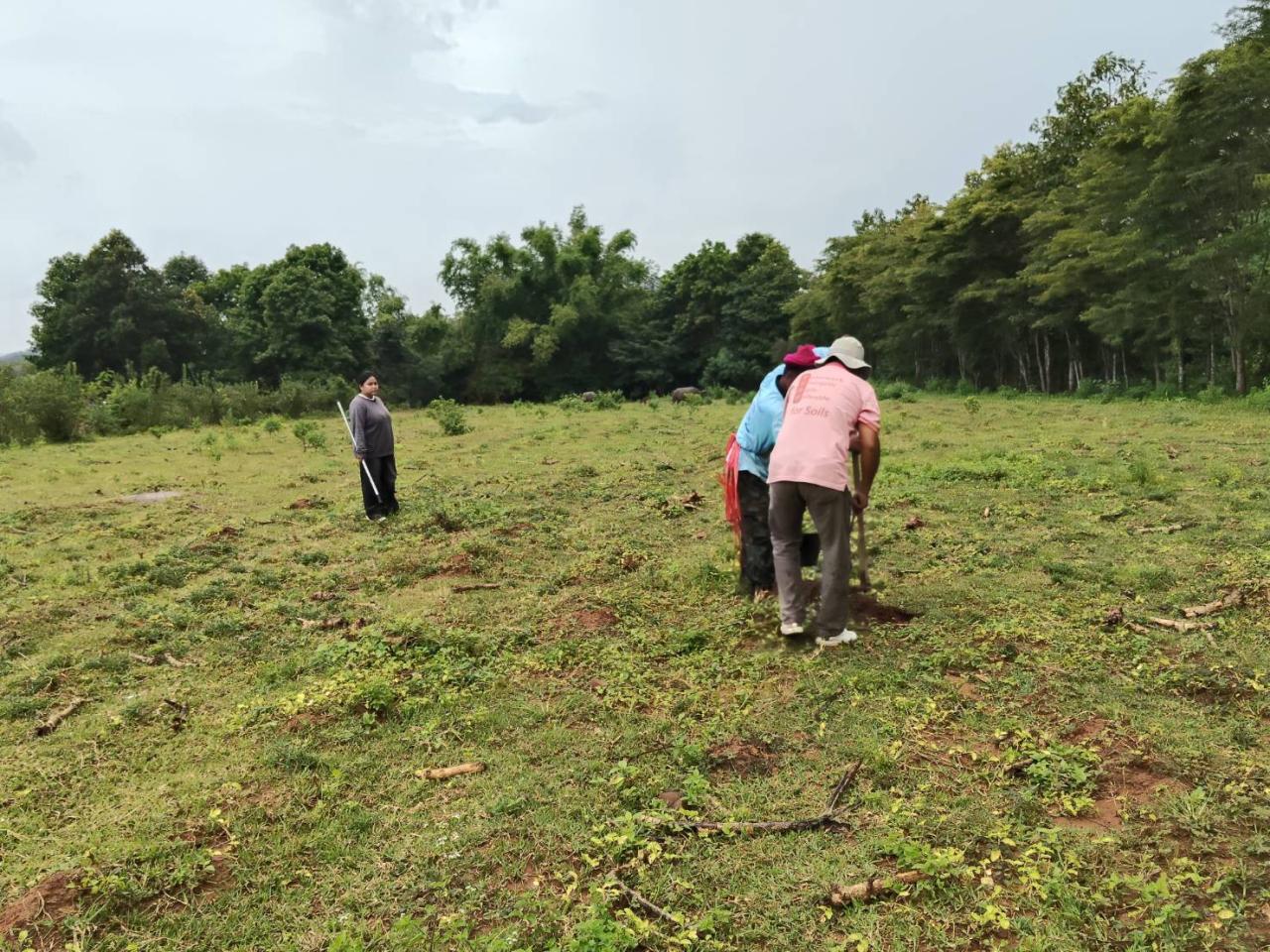 ภาพประกอบที่ 0